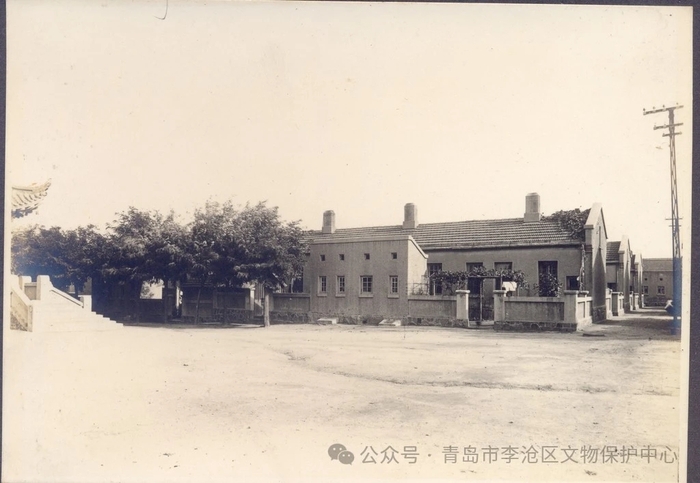 mmexport1716195227706.jpg